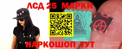 гидра Кимры