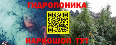прущие крисы Кингисепп