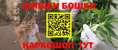 прущие крисы Кингисепп