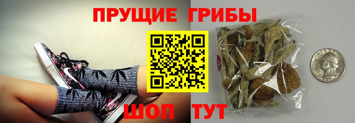 закладки  Псилоцибиновые грибы мицелий  Вход с VPN  Зеленокумск 